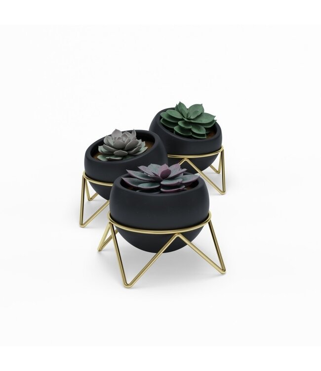 Umbra Umbra Bloempot Potsy - 14x14x12cm - 3 stuks - Keramiek Zwart/Goud