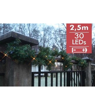 STAR TRADING Dennenslinger met LED s, voor buitenshuis, 2.5m, warmwitte LED s