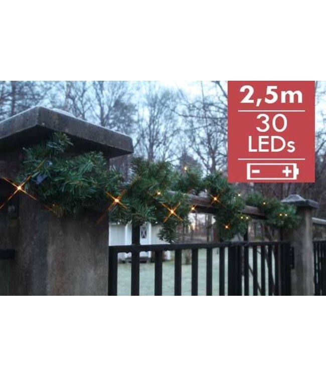 Dennenslinger met LED s, voor buitenshuis, 2.5m, warmwitte LED s