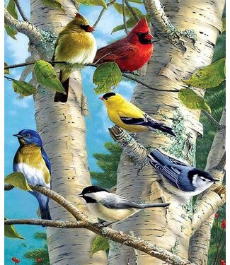 Rubye® Rubye® Diamond Painting – Diamond Painting Volwassenen – Diamond Painting Kinderen – Diamond Painting Pakket Volledig – Kleurrijke Vogels – 40x50cm