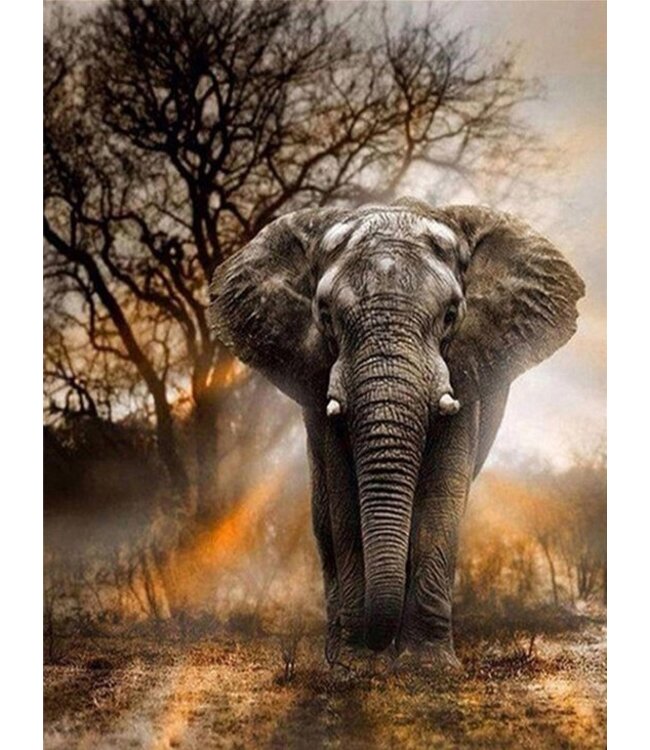 Rubye® Rubye® Diamond Painting Volwassenen - Diamond Painting Kinderen - Olifant - 30x40cm