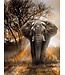 Rubye® Rubye® Diamond Painting Volwassenen - Diamond Painting Kinderen - Olifant - 30x40cm