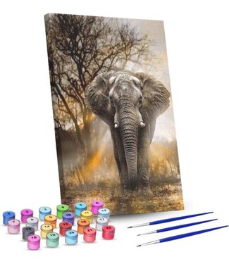 Rubye® Rubye® Schilderen Op Nummer Volwassenen – Machtige Olifant – Inclusief Penselen – Canvas Schildersdoek – Kleuren op Nummer – 40x50cm