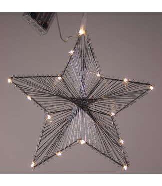 Star-Max Decoratieve ster met 20 warmwitte LED's, werkt op batterijen