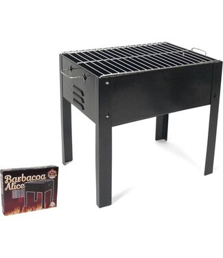 Alice Alice  Staande Houtskool BBQ met Rooster - Grill - 35x24x35cm - Zwart