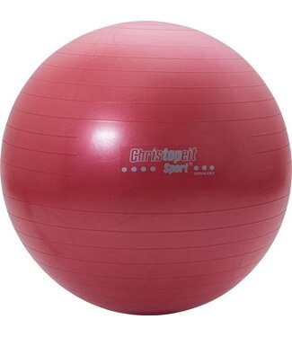 Christopeit Christopeit - Gym bal 65cm incl. pomp - Rood