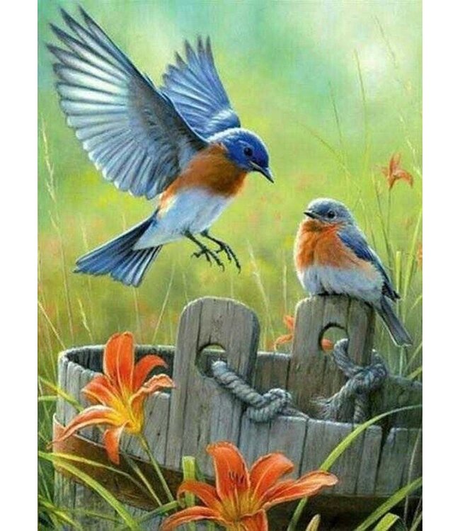 Rubye® Diamond Painting Volwassenen - Diamond Painting Kinderen - Diamond Painting Pakket Volledig - Vogels en Bloemen - 40x50cm