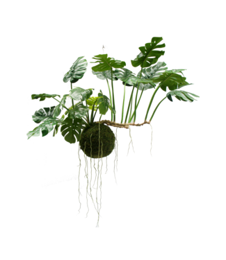 Greenmoods Greenmoods Kunst Hangplant Monstera Deluxe - Zijde - 80 cm