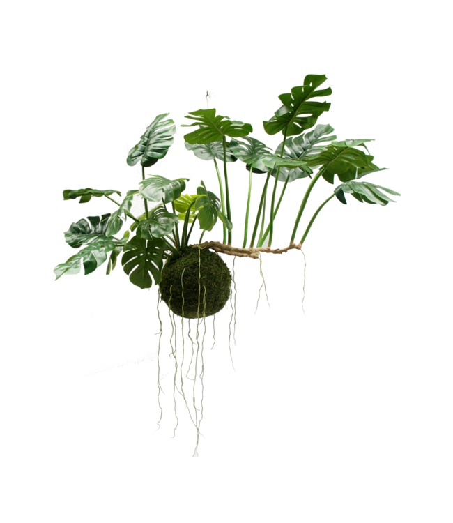 Greenmoods Kunst Hangplant Monstera Deluxe - Zijde - 80 cm