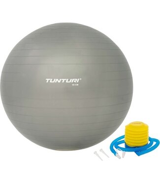 Tunturi Tunturi Fitness bal - Yoga bal inclusief pomp - Pilates bal - Zwangerschaps bal - 55 cm - Kleur: zilver - Incl. gratis fitness app