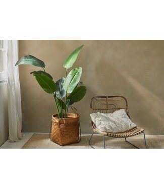 Lifa-Living Lifa Living Strelitzia Kunstplant - Kunststof Kamerplant - Decoratieve Nepplant - Groene Plant met Pot - Kunstplant voor Binnen - Ca. 160 cm