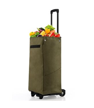 Coast Coast Boodschappentrolley 38L - Afneembare tas - Max. 60 kg - Groen