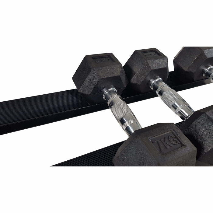 Dumbbell Rack Prof 2 Levels