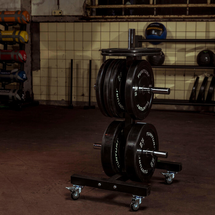 Upright Bumper Plate Rack