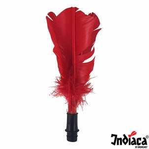 Indiaca Indiaca Replacement feathers