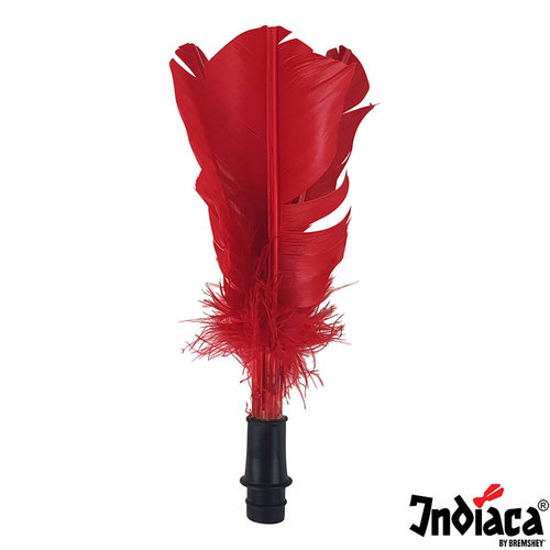 Indiaca Replacement feathers