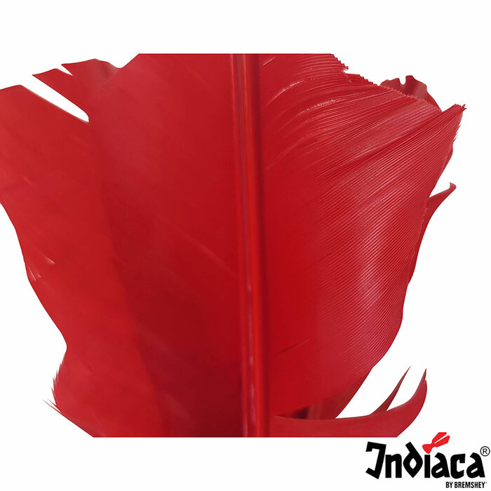 Indiaca Ersatzfedern