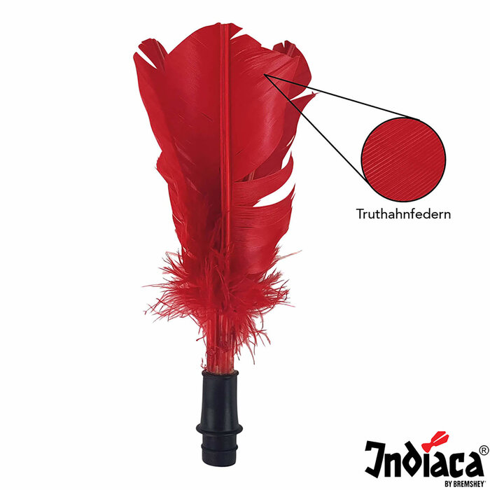 Indiaca Replacement feathers