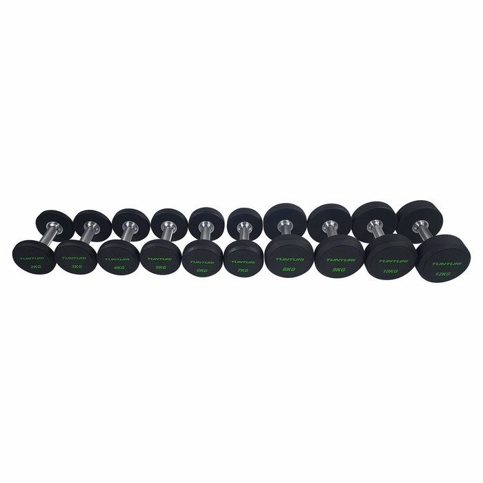 Pro PU Dumbbell Set Halterset