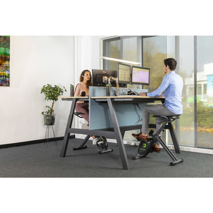Deskbike - Hometrainer - Bureaufiets Cardio Fit D20
