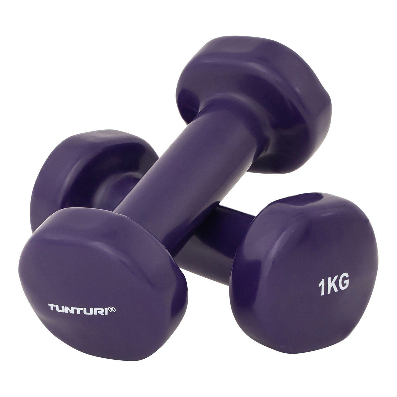 Dumbbells - Vinyl 1,0kg