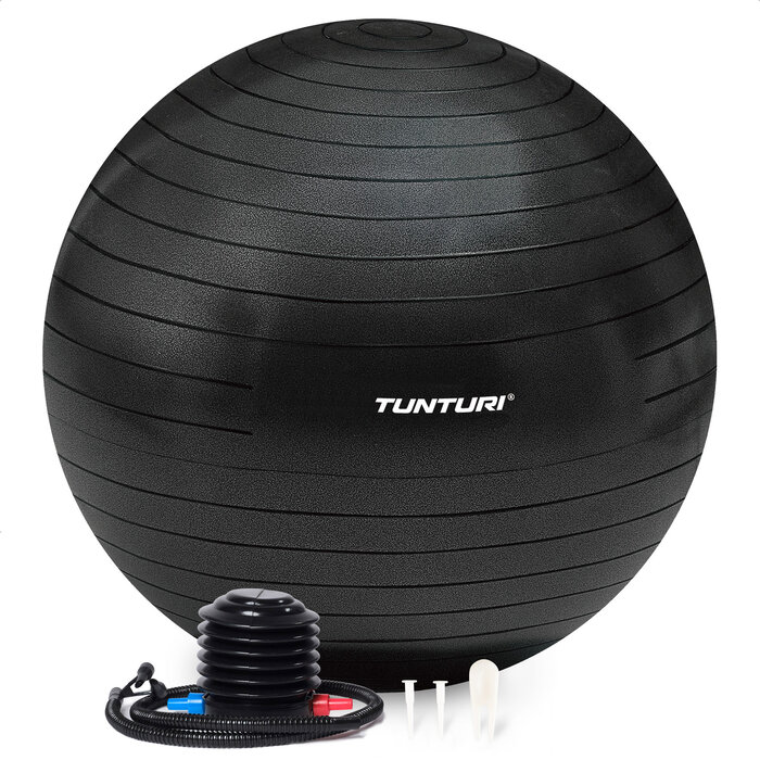 Anti Burst Fitness Ball with Pump