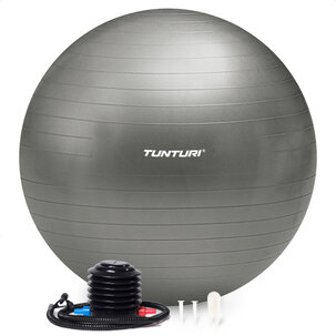 Fitnessball - inklusive Pumpe (55 - 90cm)