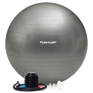 Gymball - Anti Burst - Including Pump - Silver