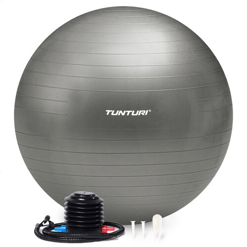 Gymball - Anti Burst - Including Pump