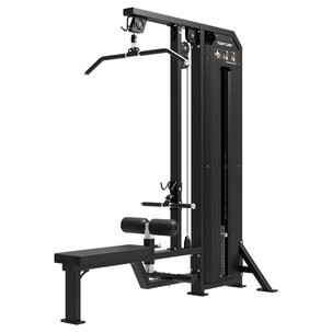 Platinum - Dual Lat Pulldown/Low row - Selectorized - V-series
