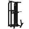 Platinum - Dual Assisted Chin Up/Dip - Selectorized - V-series