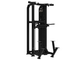Platinum - Dual Assisted Chin Up/Dip - Selectorized - V-series