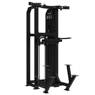 Platinum - Dual Assisted Chin Up/Dip - Selectorized - V-series