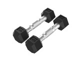 Platinum Hex Rubber Dumbbell, Pair