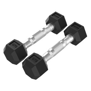 Platinum Hex Rubber Dumbbell, 1 kg, Pair
