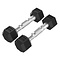Platinum Hex Rubber Dumbbell