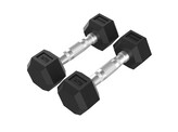 Platinum Hex Rubber Dumbbell, Pair