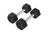 Platinum Hex Rubber Dumbbell, Pair