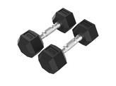 Platinum Hex Rubber Dumbbell