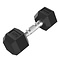 Platinum Hex Rubber Dumbbell