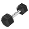 Platinum Hex Rubber Dumbbell