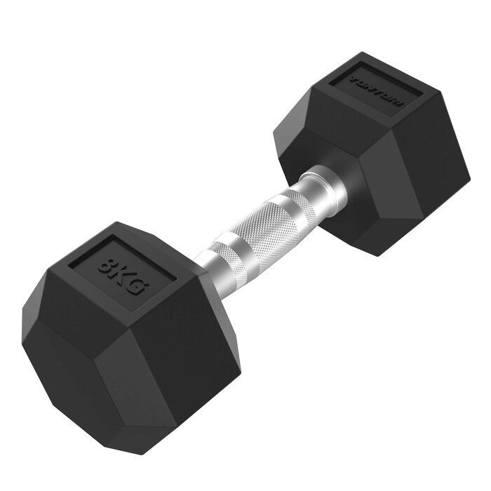 Platinum Hex Rubber Dumbbell