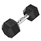 Platinum Hex Rubber Dumbbell