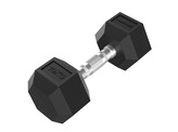 Platinum Hex Rubber Dumbbell