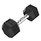 Platinum Hex Rubber Dumbbell