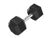 Platinum Hex Rubber Dumbbell