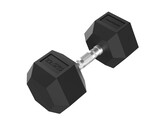 Platinum Hex Rubber Dumbbell