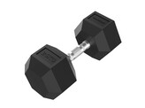 Platinum Hex Rubber Dumbbell