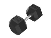 Platinum Hex Rubber Dumbbell