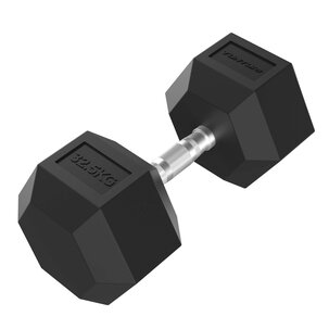 Platinum Hex Rubber Dumbbell, 45 kg